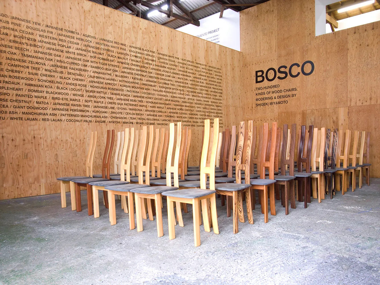 BOSCO EXHIBITION + SEGUENTE PROJECT 1