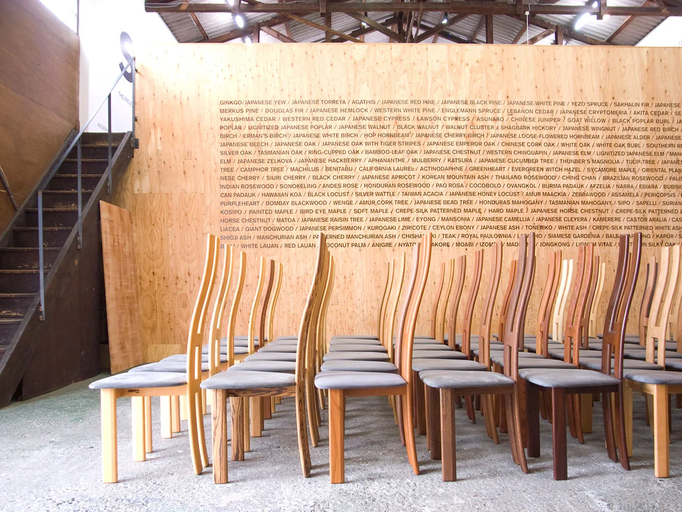 BOSCO EXHIBITION + SEGUENTE PROJECT 2