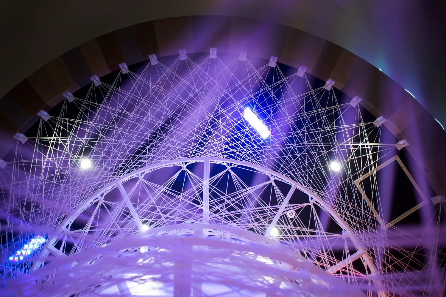 Diamond cocoon 2