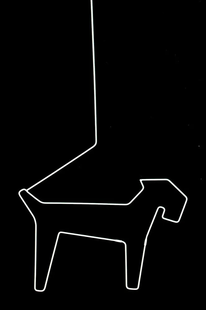 HANGER FOR DOG 2
