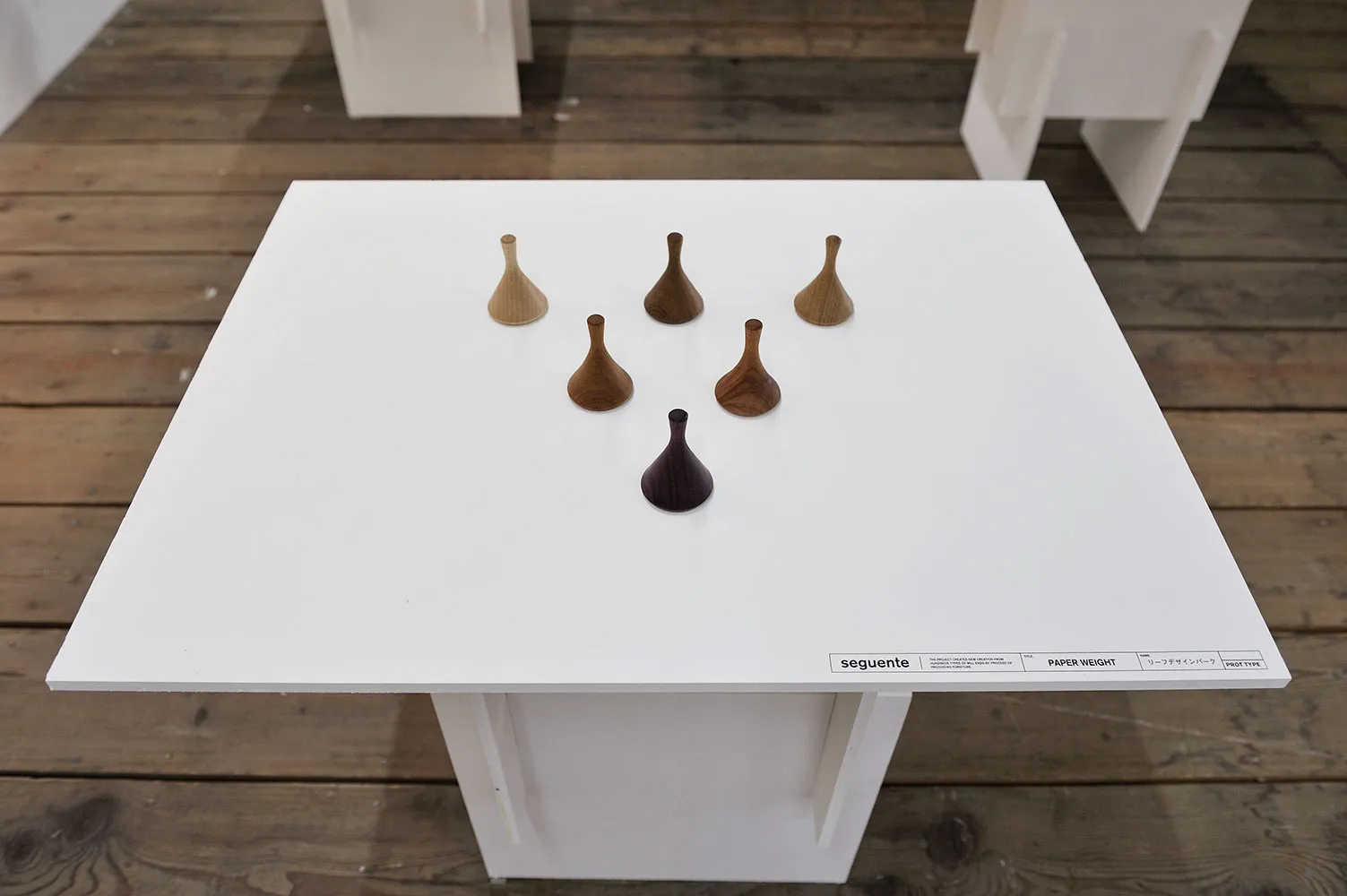 BOSCO EXHIBITION + SEGUENTE PROJECT 5
