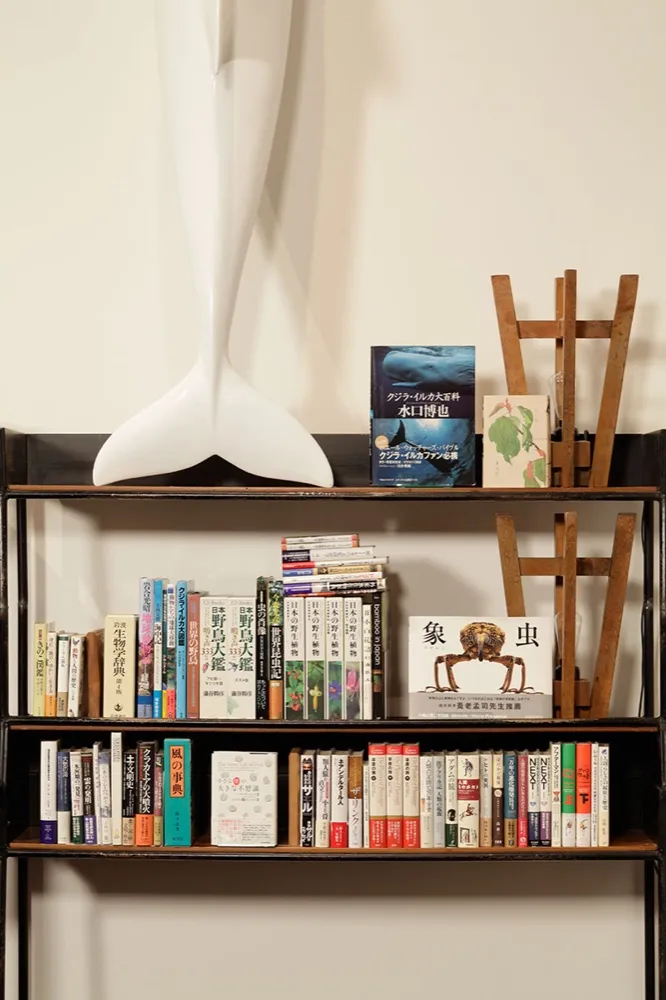 NATURE BOOK LOUNGE 6