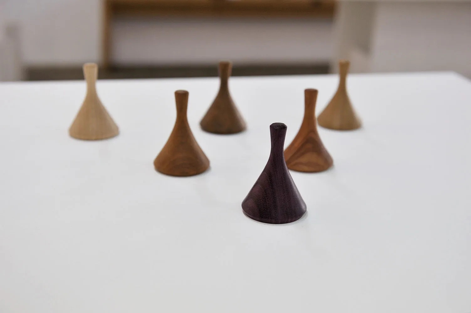BOSCO EXHIBITION + SEGUENTE PROJECT 6