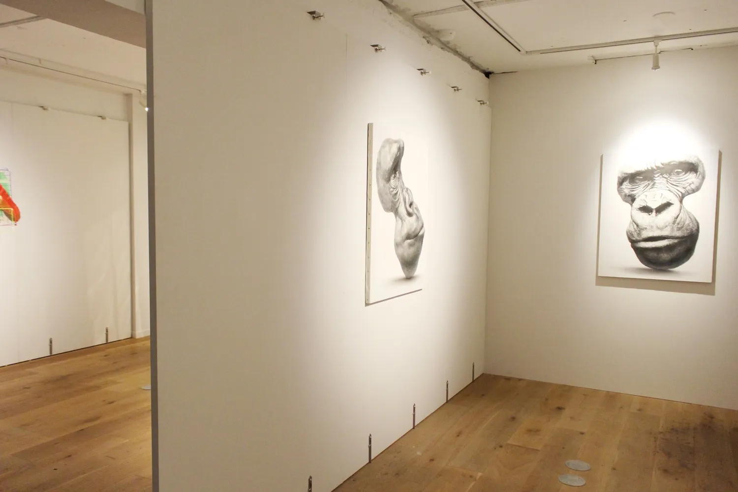COURTYARD HIROO 6