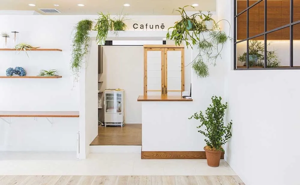Cafune 7
