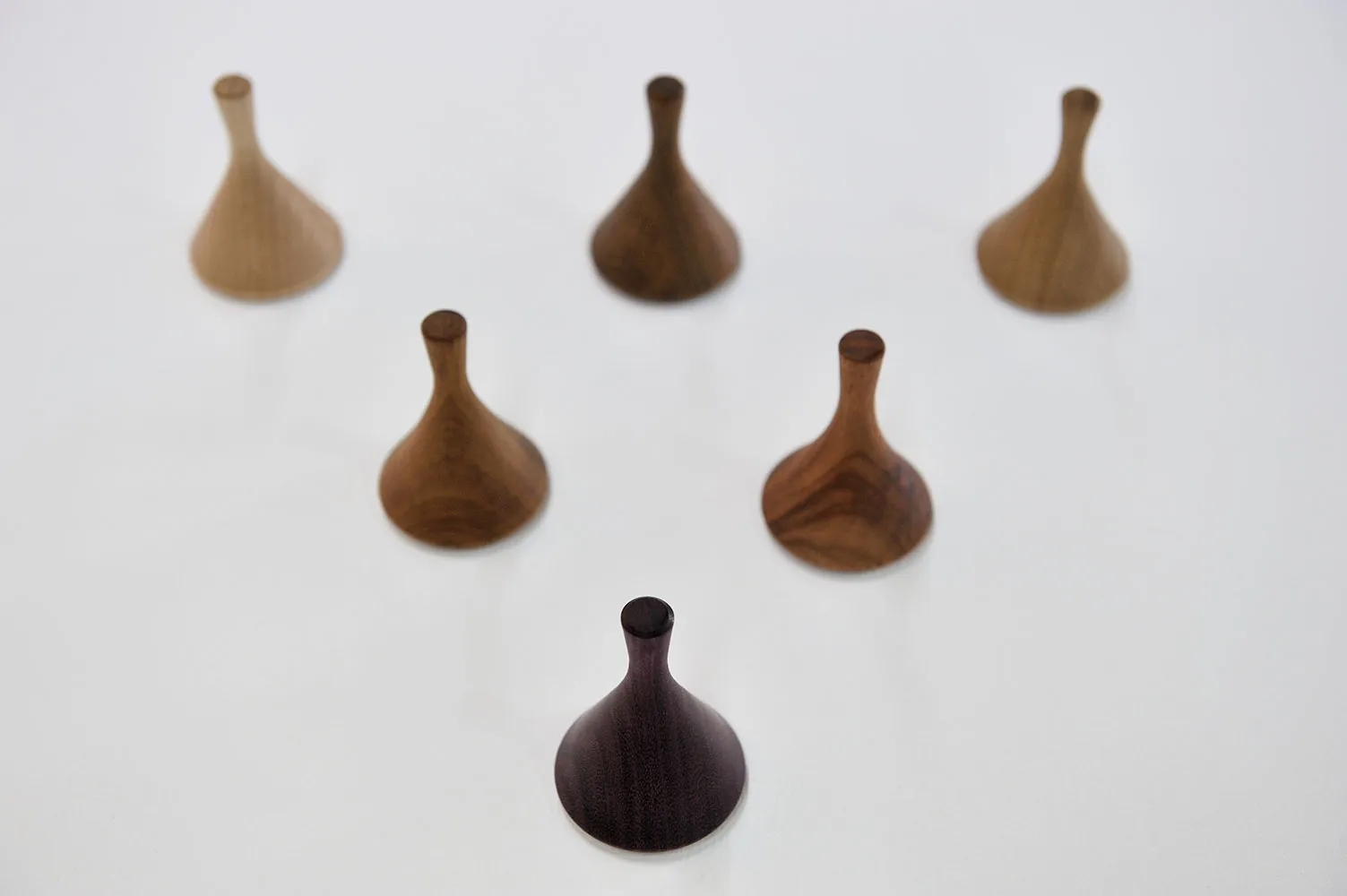 BOSCO EXHIBITION + SEGUENTE PROJECT 7