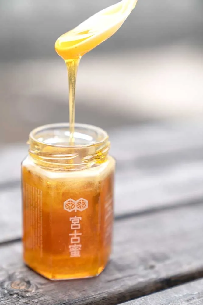 Cocktail Gelato ao 8